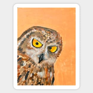 Acrylic painting of an owl Sticker